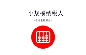 小规模纳税人