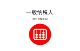 一般纳税人申报