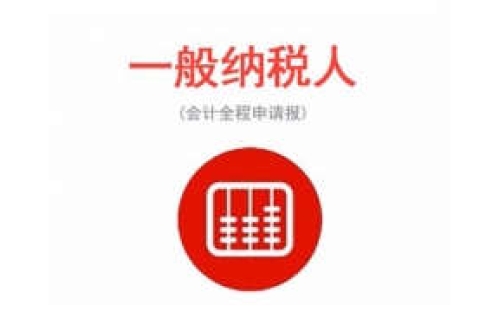 一般纳税人申报